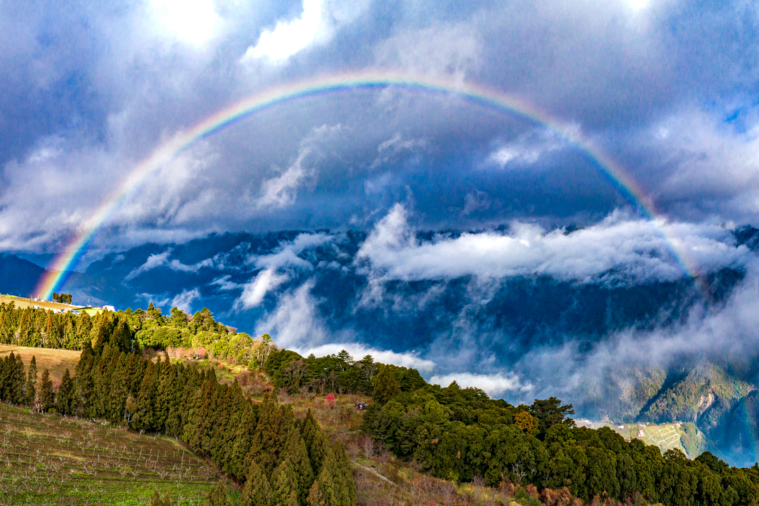 福壽山農場_01月_ (9).jpg